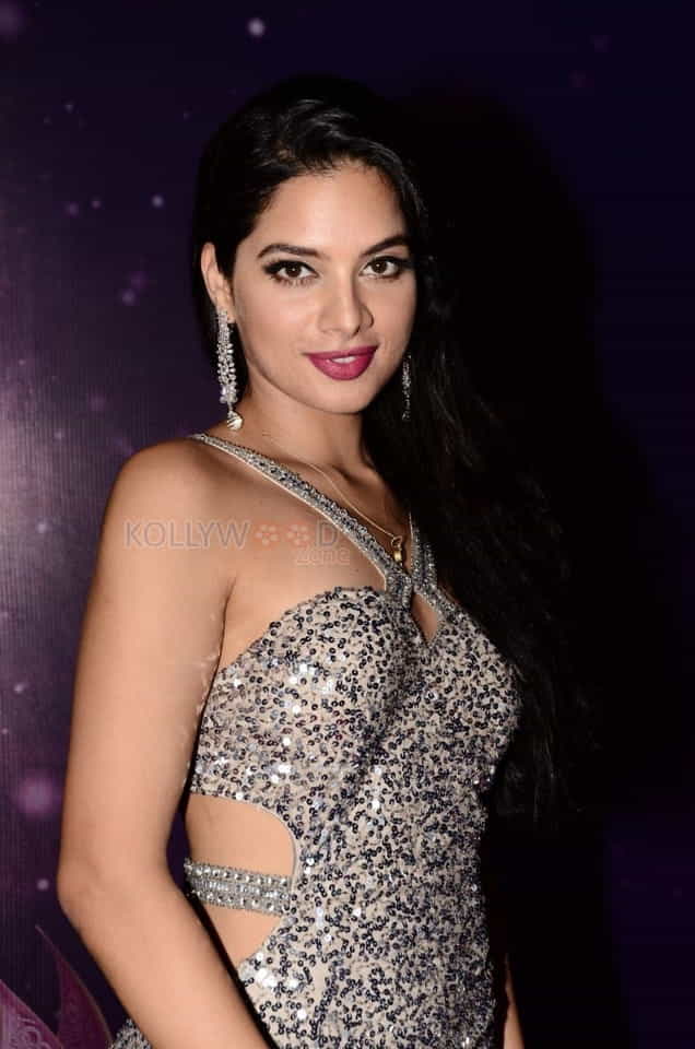 Actress Tanya Hope At Zee Apsara Awards Photos