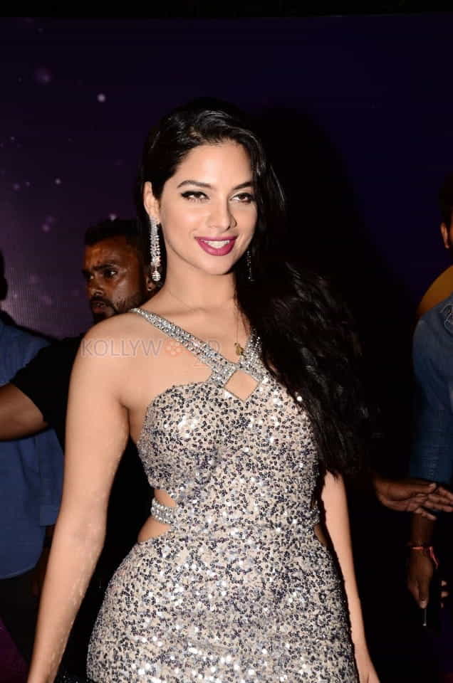 Actress Tanya Hope At Zee Apsara Awards Photos