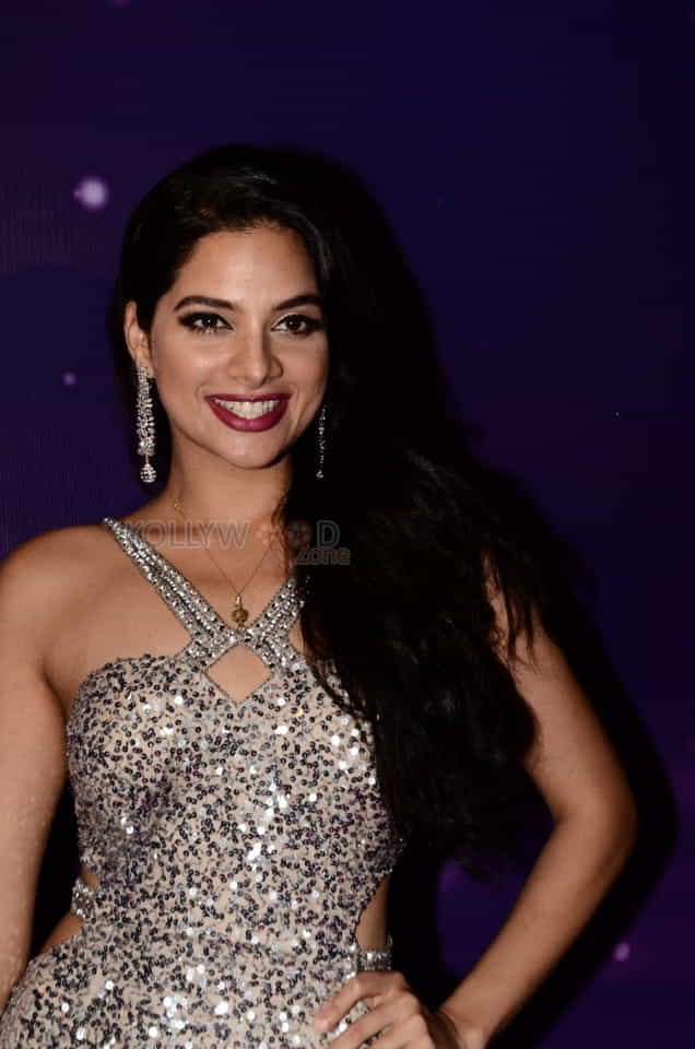 Actress Tanya Hope At Zee Apsara Awards Photos