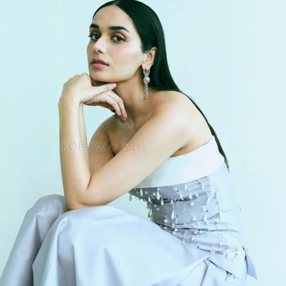 Manushi Chhillar