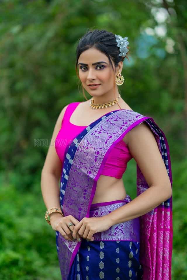 Bommala Koluvu Heroine Priyanka Sharma Pictures