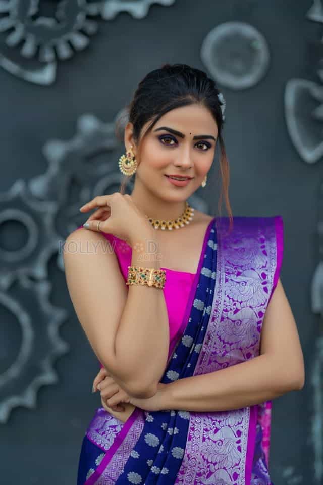 Bommala Koluvu Heroine Priyanka Sharma Pictures