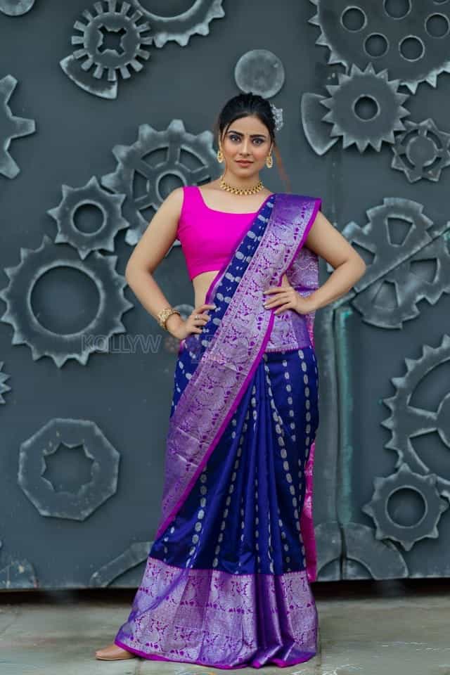 Bommala Koluvu Heroine Priyanka Sharma Pictures