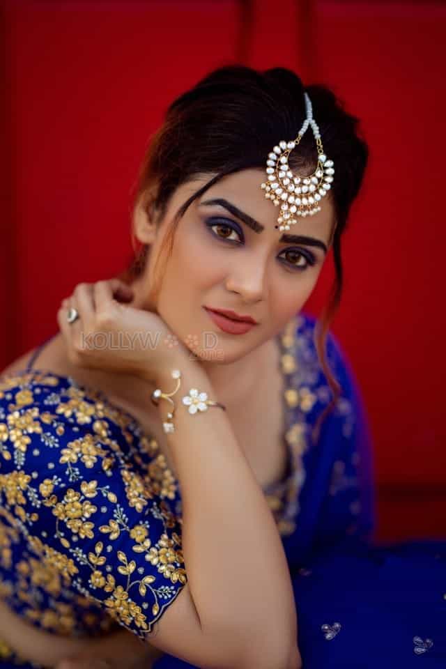 Bommala Koluvu Heroine Priyanka Sharma Pictures