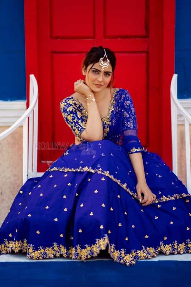 Bommala Koluvu Heroine Priyanka Sharma Pictures