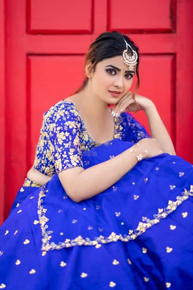 Bommala Koluvu Heroine Priyanka Sharma Pictures