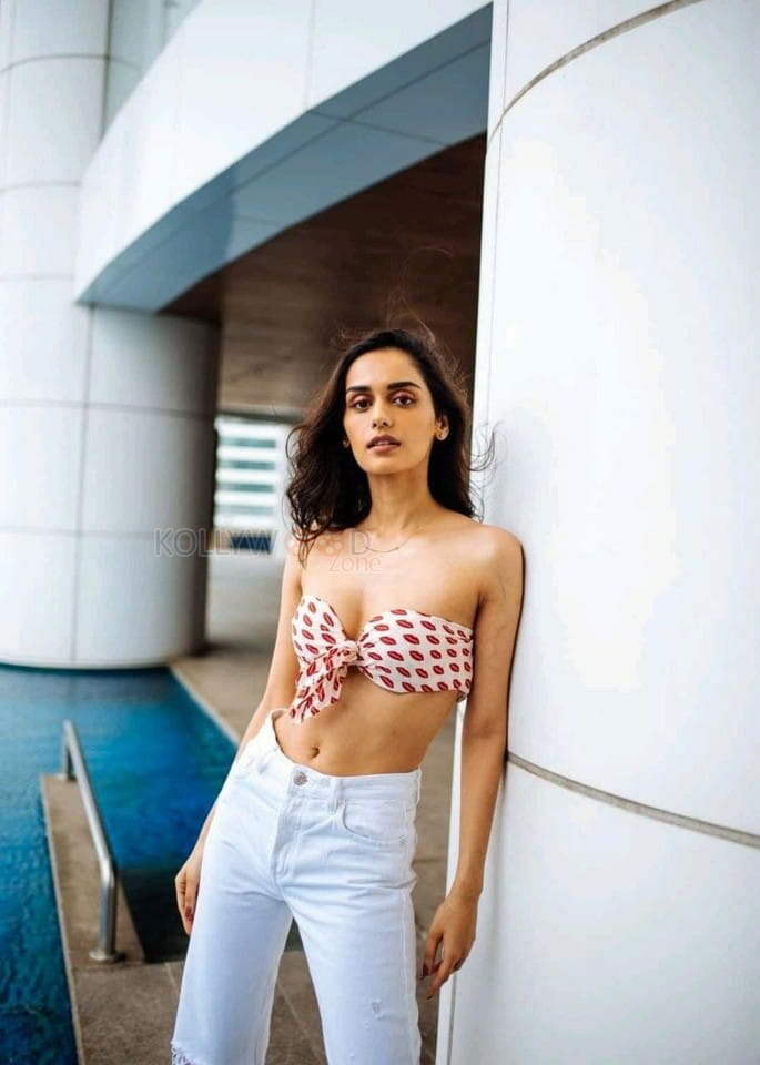 Fashion Model Manushi Chhillar Sexy Photoshoot Stills