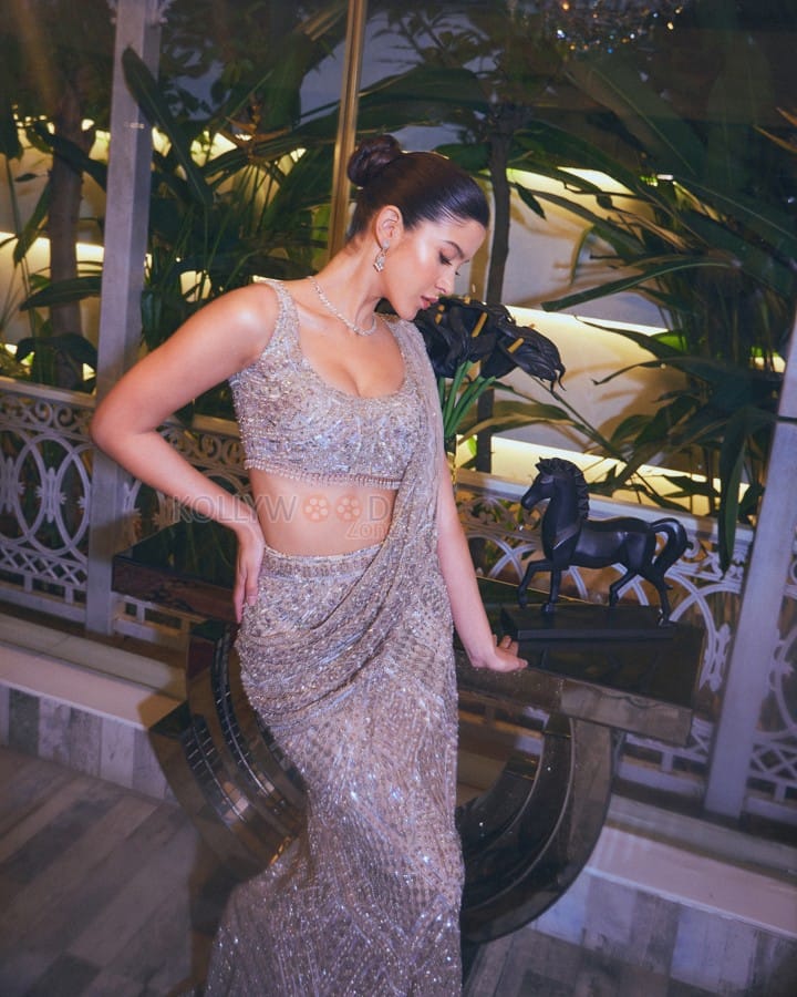 Glittering Beauty Shanaya Kapoor in an Embellished Saree Pictures 03