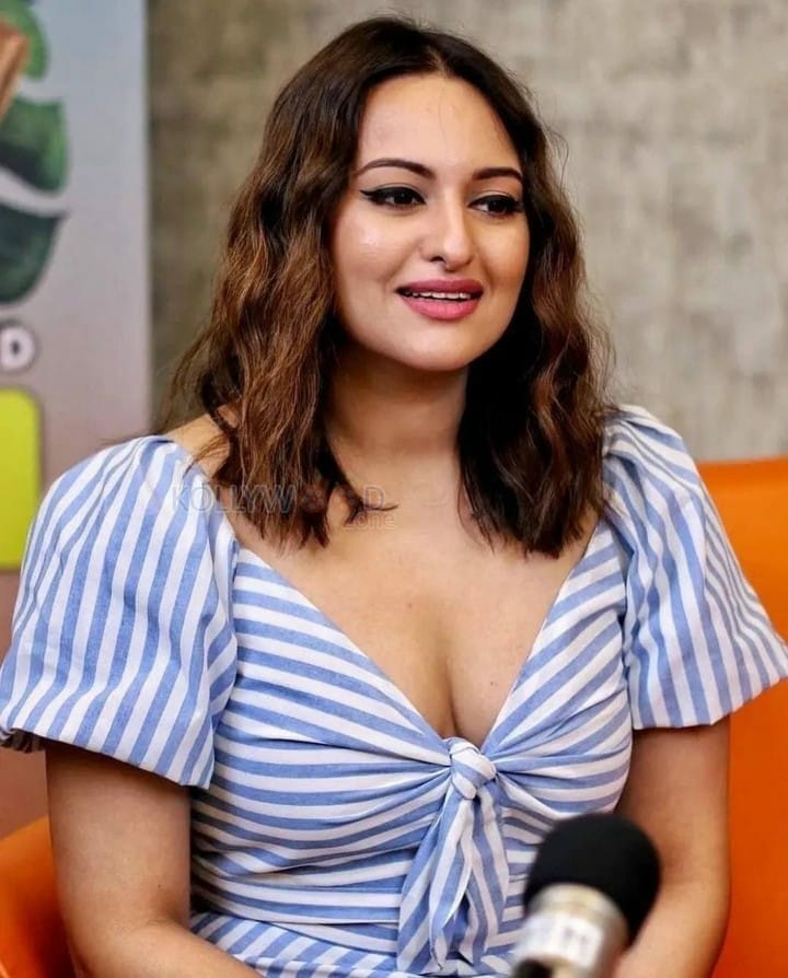 Hindi Actress Sonakshi Sinha Interview Photos 02