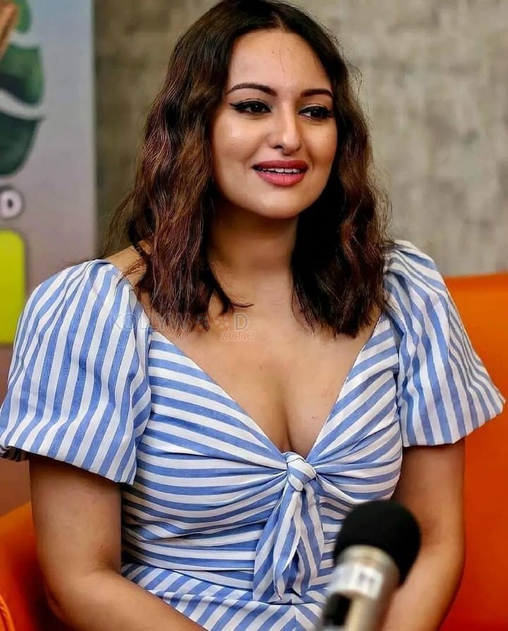 Hindi Actress Sonakshi Sinha Interview Photos 06