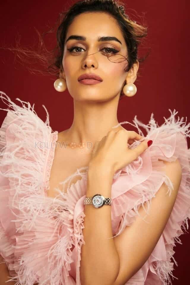 Manushi Chillar Elegant Photo 01