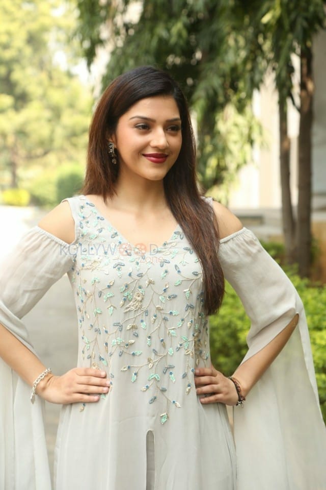 Nenjil Thunivirundhal Movie Heroine Mehreen Pirzada Photos