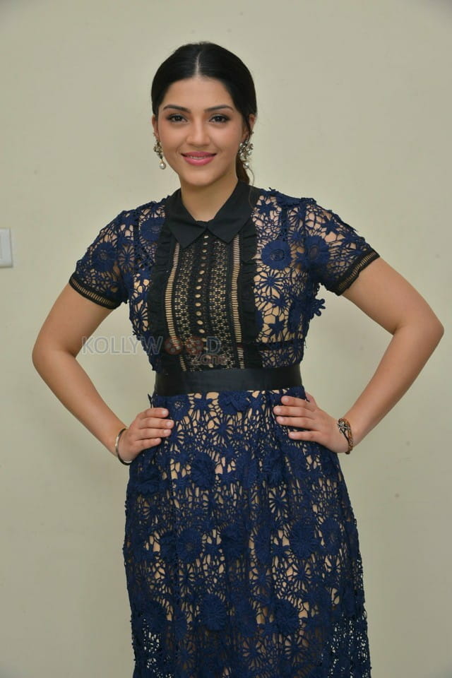 Nenjil Thunivirundhal Movie Heroine Mehreen Pirzada Photos