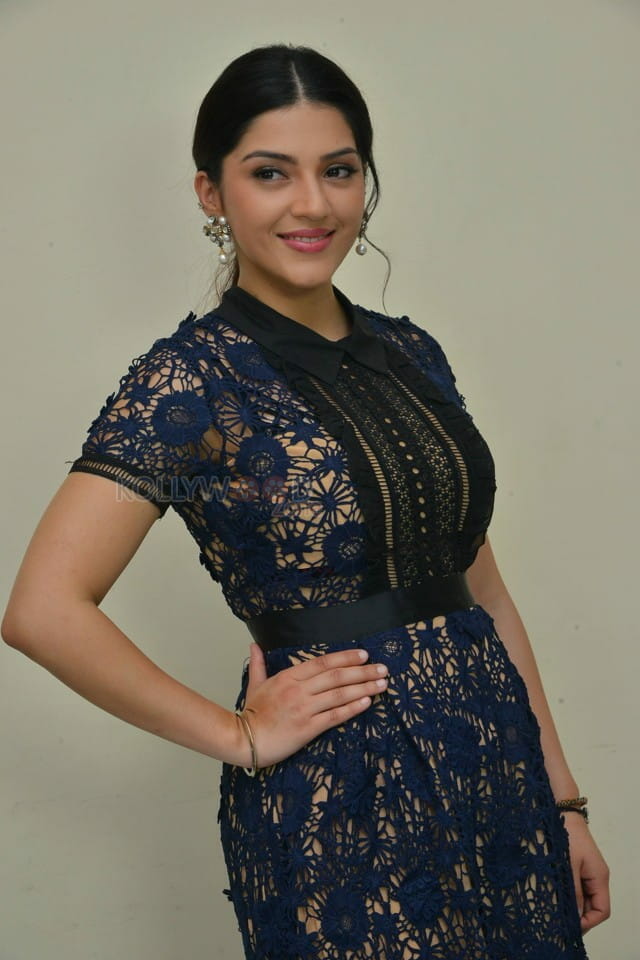 Nenjil Thunivirundhal Movie Heroine Mehreen Pirzada Photos