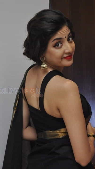 Poonam Kaur New Saree Photos