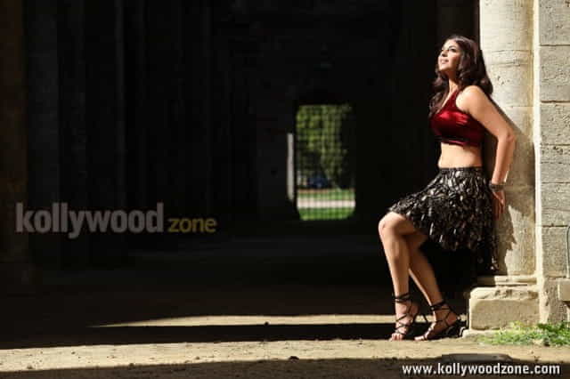 Richa Gangopadhyay Hot New Spicy Stills