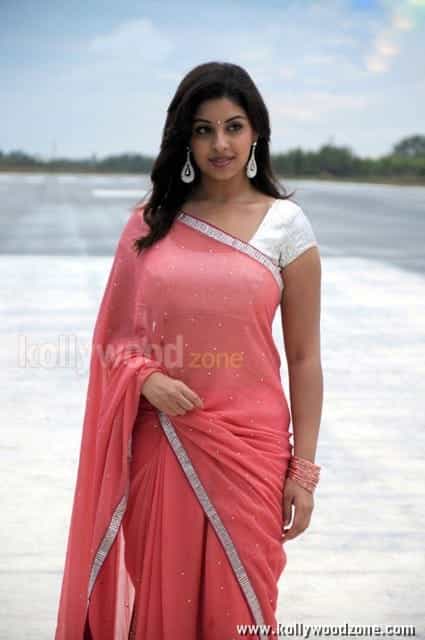 Richa Gangopadhyay Hot Saree Photos