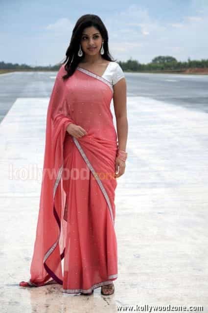 Richa Gangopadhyay Hot Saree Photos