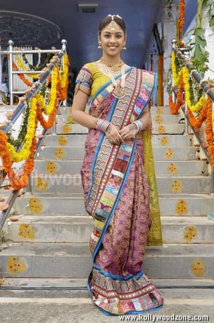 Richa Gangopadhyay Wedding Saree Pictures