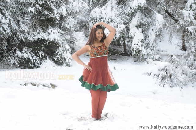 Sexy Richa Gangopadhyay Hot Murattu Singam Photos