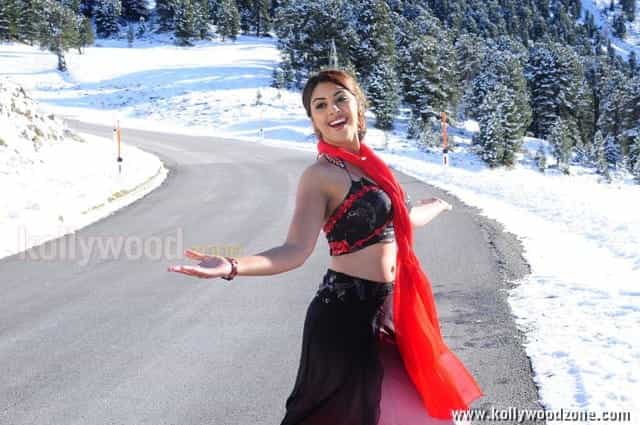 Sexy Richa Gangopadhyay Hot Murattu Singam Photos
