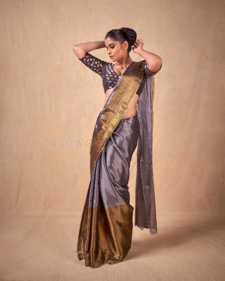 Stunning Sai Tamhankar in a Gray Saree Photos 03