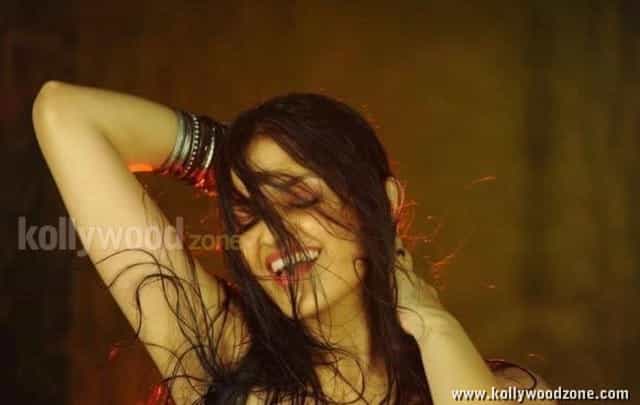 Tara Alisha Hot Pictures