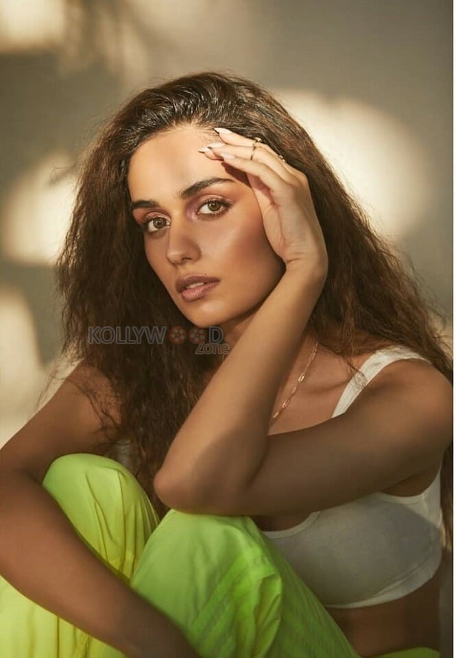 The Great Indian Family Actress Manushi Chhillar Photos