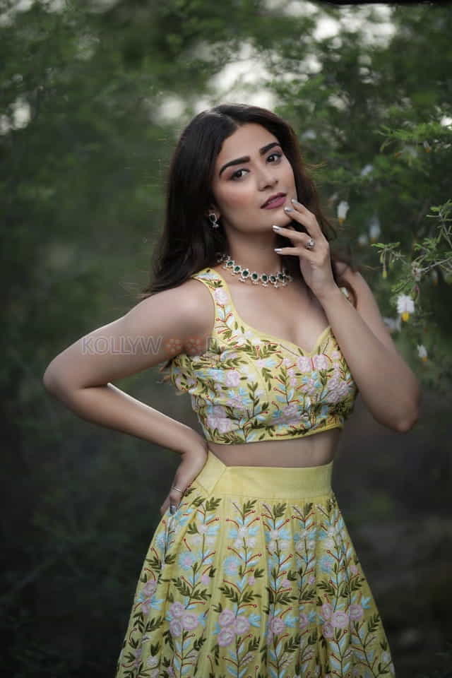 Tollywood Actress Priyanka Sharma Photoshoot Pictures