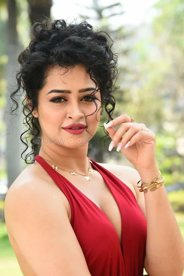 Actress Apsara Rani at Naa Ishtam Movie Press Meet Pictures 27