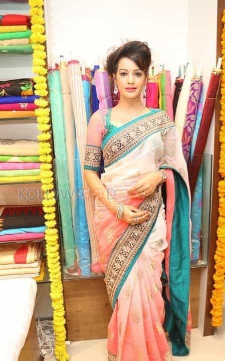 Actress Deeksha Panth At Nakshatra Designer Store Launch Photos