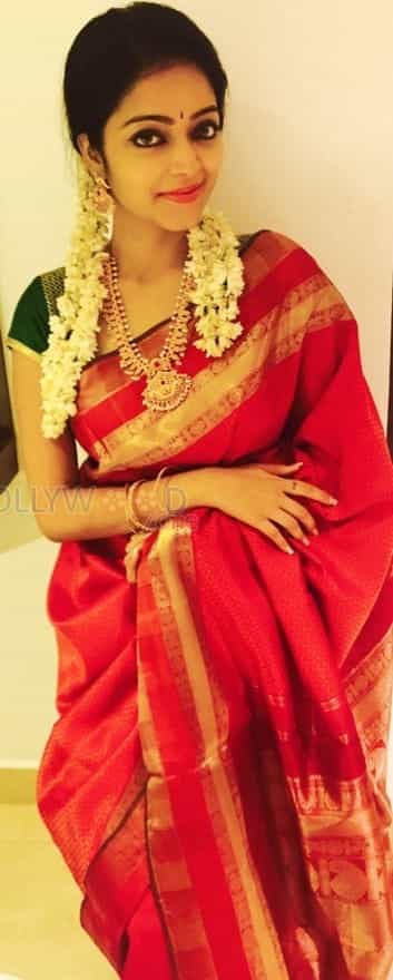 Actress Janani Iyer Wedding Saree Photos