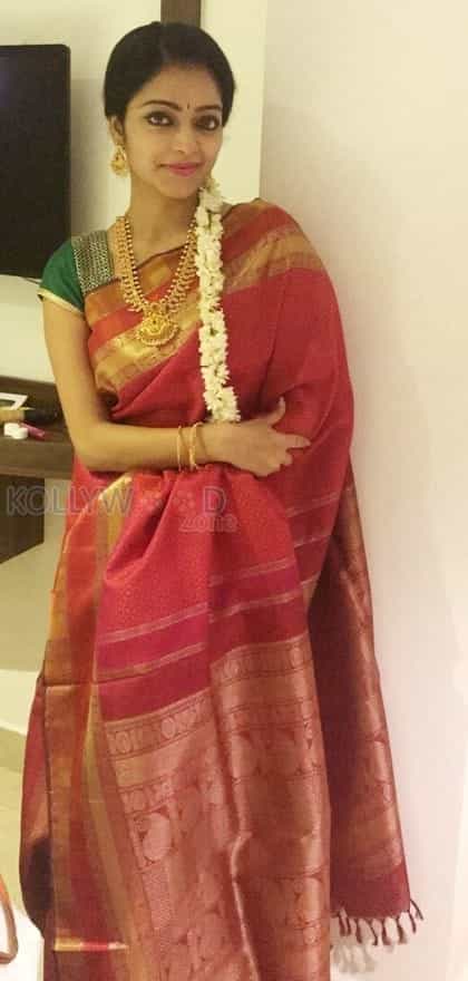 Actress Janani Iyer Wedding Saree Photos