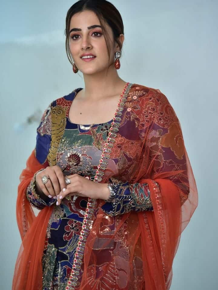 Actress Nupur Sanon at Tiger Nageswara Rao Interview Photos 71
