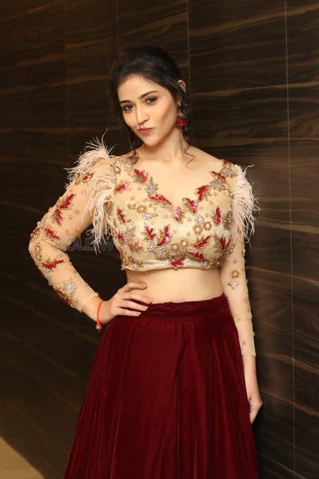 Actress Priyanka Jawalkar At Taxiwala Pre Release Event Photos