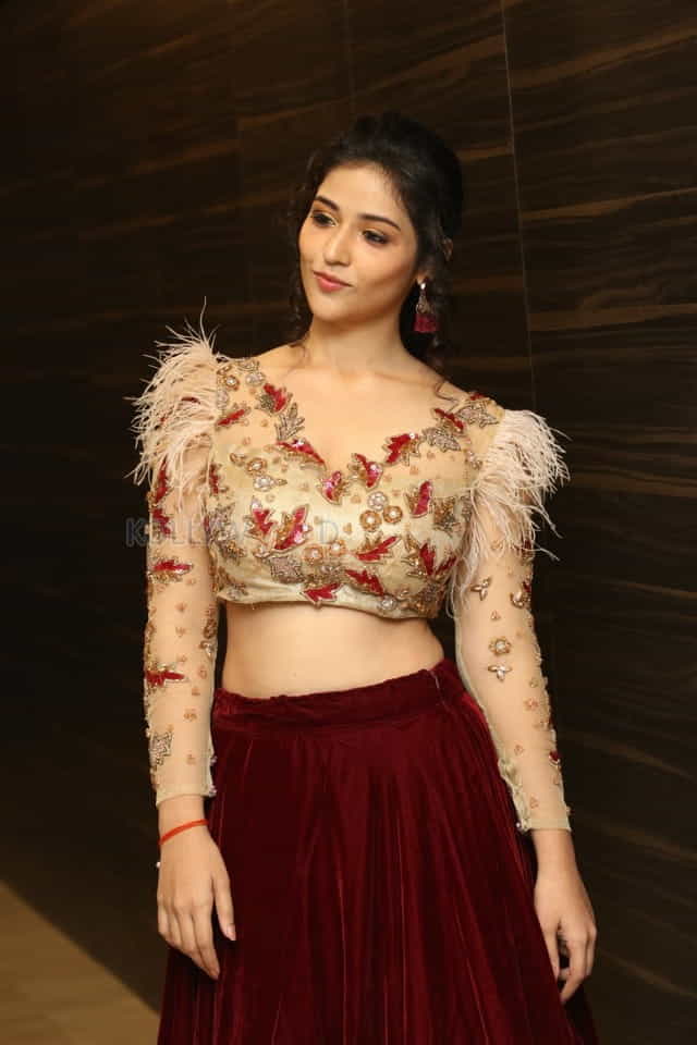 Actress Priyanka Jawalkar At Taxiwala Pre Release Event Photos