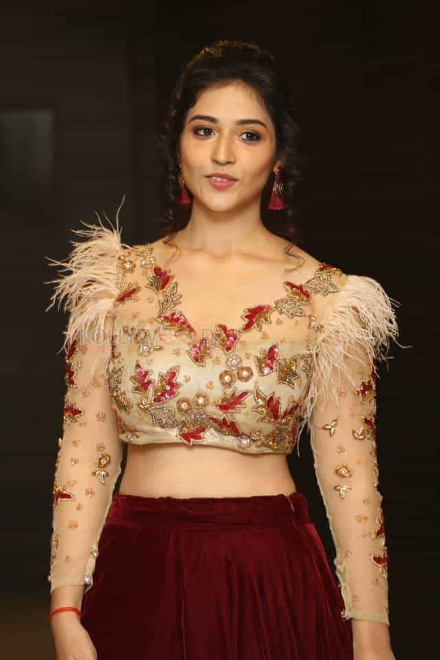 Actress Priyanka Jawalkar At Taxiwala Pre Release Event Photos