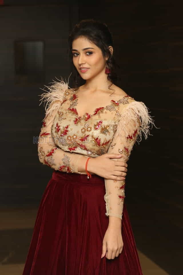 Actress Priyanka Jawalkar At Taxiwala Pre Release Event Photos
