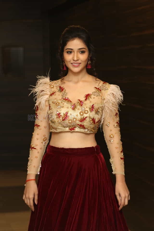 Actress Priyanka Jawalkar At Taxiwala Pre Release Event Photos