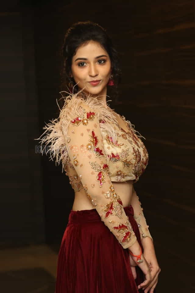 Actress Priyanka Jawalkar At Taxiwala Pre Release Event Photos