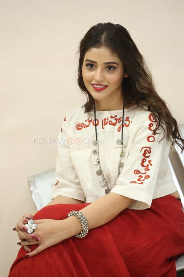 Actress Priyanka Jawalkar At Taxiwala Teaser Launch Photos
