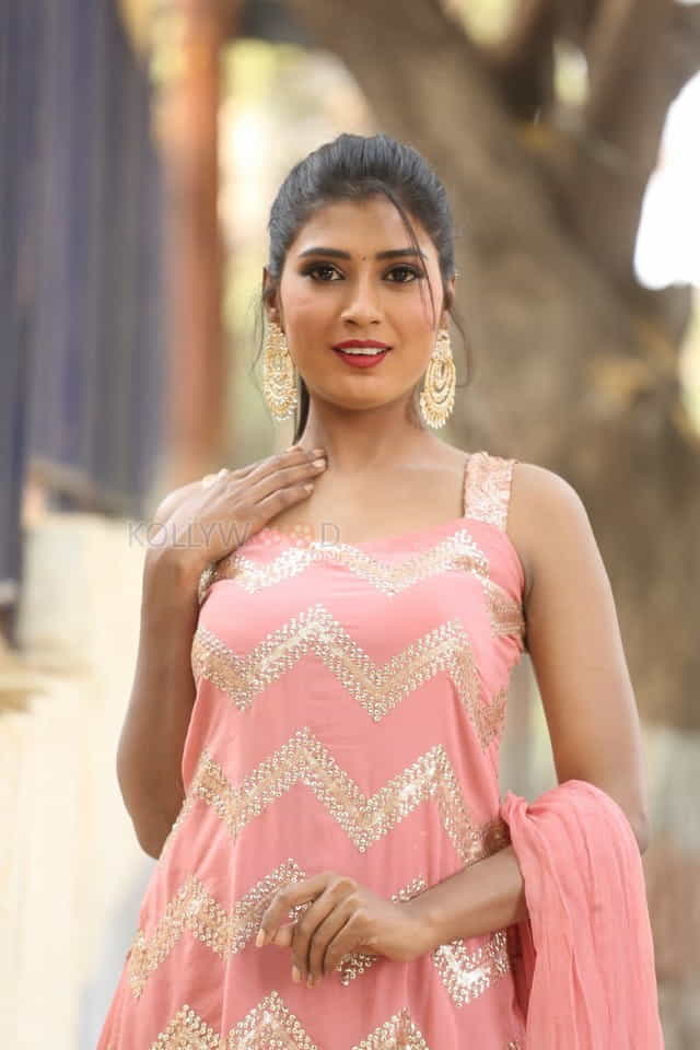 Actress Sanjana Choudhary At Bomma Adirindi Movie Press Meet Photos