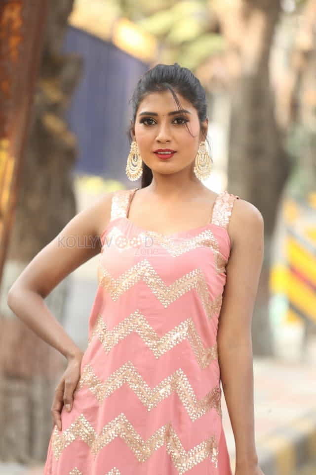 Actress Sanjana Choudhary At Bomma Adirindi Movie Press Meet Photos