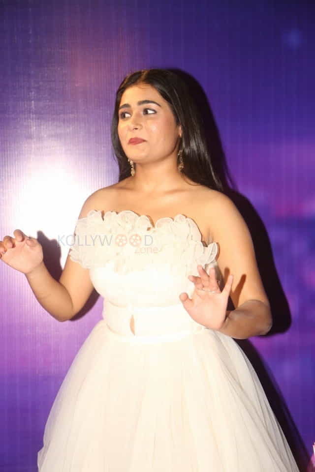 Actress Shalini Pandey At Zee Apsara Awards Photos