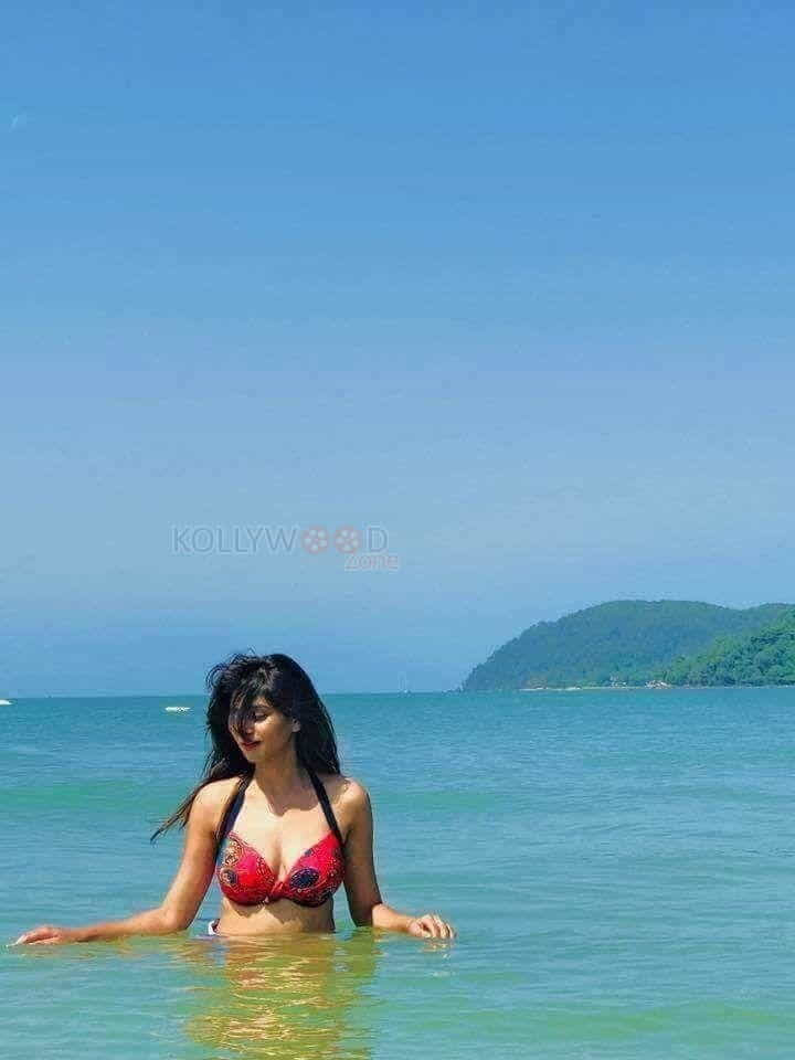Actress Shamili Sounderajan Photos