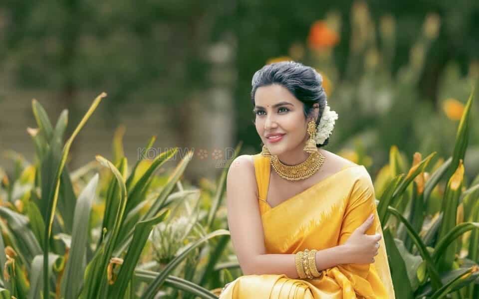 Gorgeous Priya Anand in a Yellow Saree Photos 02