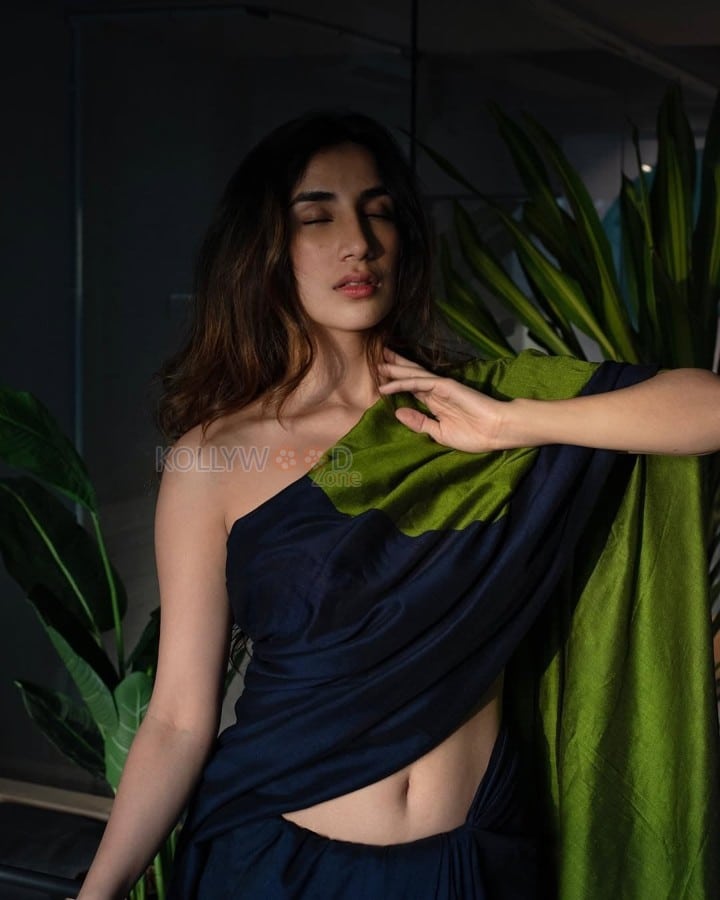 Hot Parul Gulati Navel in a Blue and Green Braless Saree Photos 03