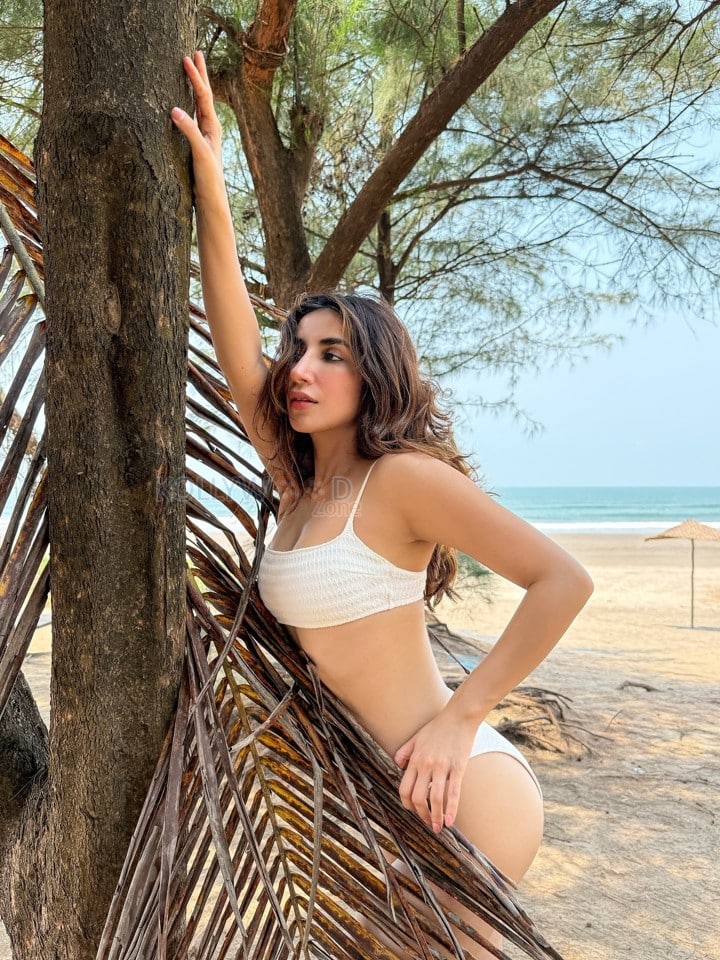 Hot Parul Gulati in a White Two Piece Bikini at Goa Beach Photos 04