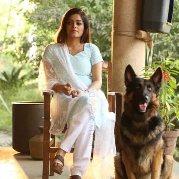 Koorman Movie Review