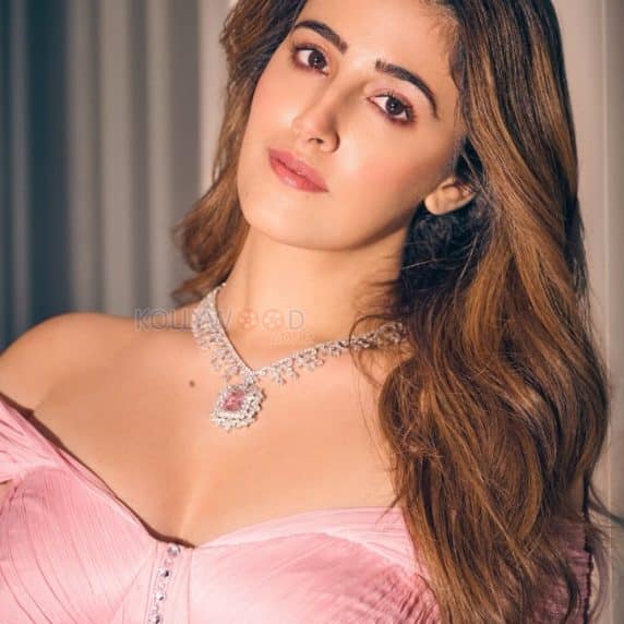 Nupur Sanon